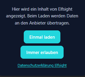 Platzhalter für ein Elfsight-Widget mit Einmal laden und Immer erlauben
